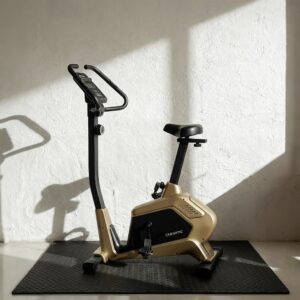 B-01 Exercise Bike