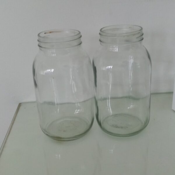 Plain Vase set of 2