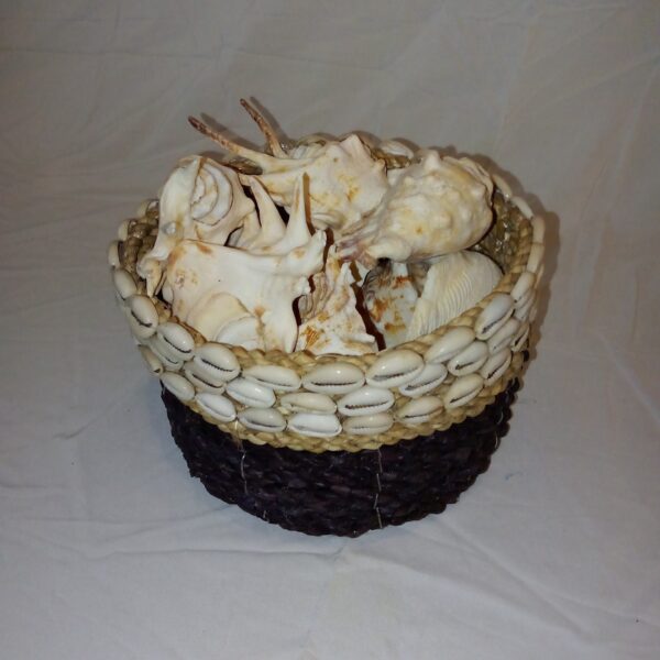 Woven shell basket