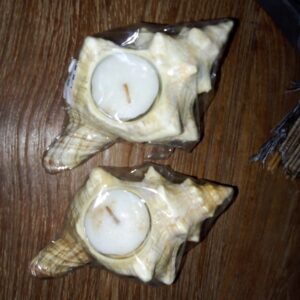 D8-09 Seashell Candle Holder Set of 2