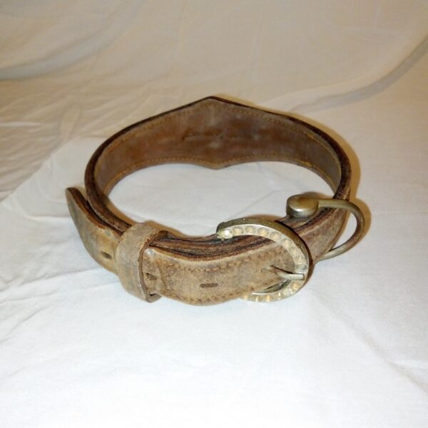 Genuine Leather Dog Collar