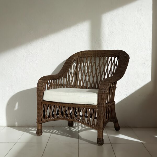 Rattan Single Sofa + Cushions