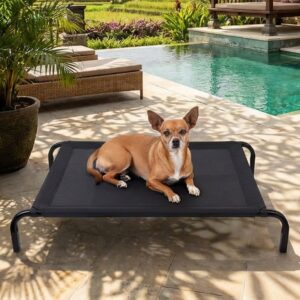M-50 Iron Pet Training Bed